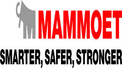 Mammoet Global Equipment 